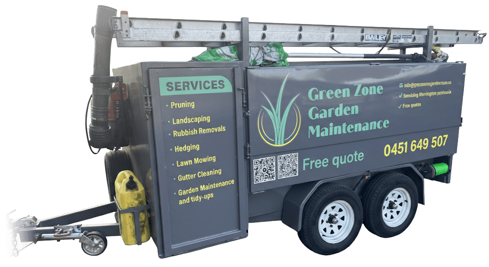 Banner & Signs